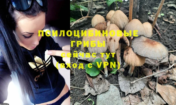 ALPHA-PVP Волоколамск
