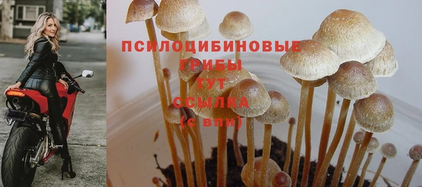 ALPHA-PVP Волоколамск