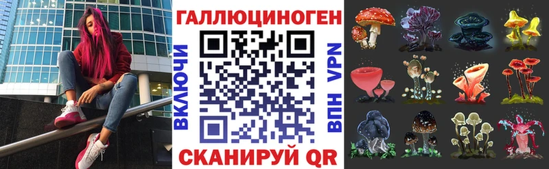 где найти наркотики Александровское Псилоцибиновые грибы ЛСД
