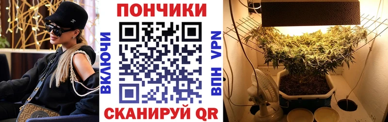 Конопля индика как найти закладки Александровское